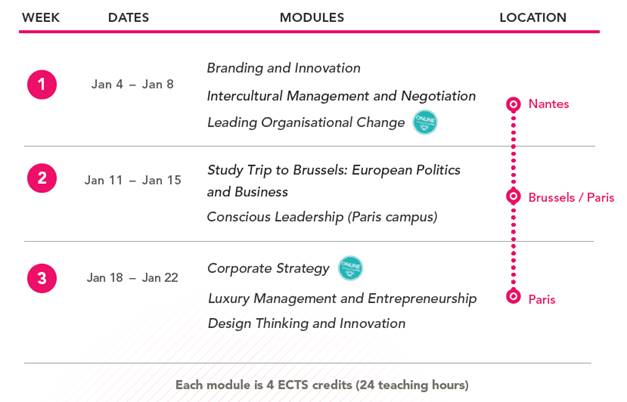 Audencia Winter Modules 2021