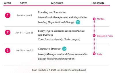 Audencia Winter Modules 2021